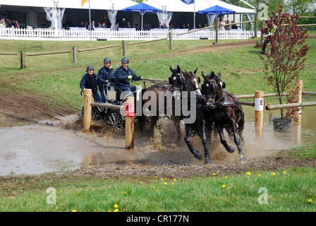 Championnat de courses de chariot à Horst Pays-Bas Banque D'Images