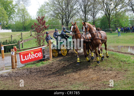 Championnat de courses de chariot à Horst Pays-Bas Banque D'Images