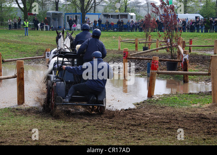 Championnat de courses de chariot à Horst Pays-Bas Banque D'Images