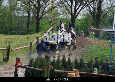 Championnat de courses de chariot à Horst Pays-Bas Banque D'Images