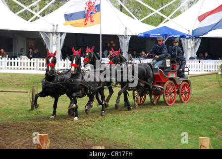 Championnat de courses de chariot à Horst Pays-Bas Banque D'Images