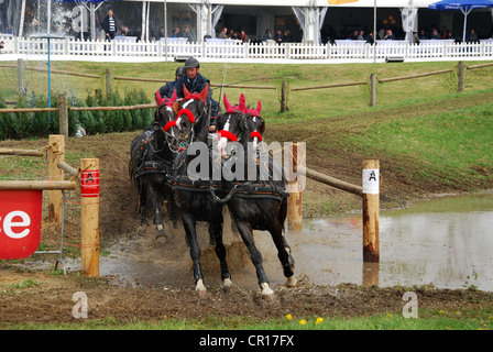 Championnat de courses de chariot à Horst Pays-Bas Banque D'Images