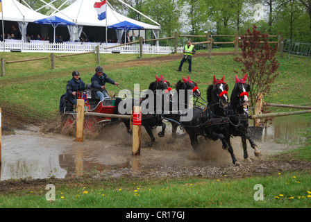 Championnat de courses de chariot à Horst Pays-Bas Banque D'Images