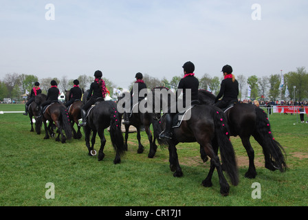 L'équitation à Horst Pays-Bas Banque D'Images