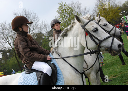 L'équitation en classe Horst Pays-Bas Banque D'Images