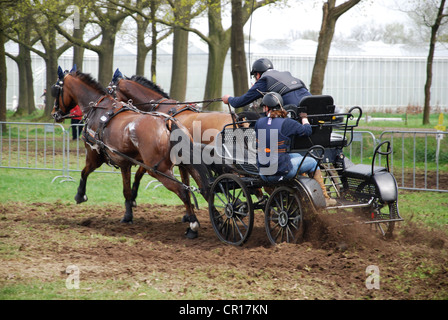 Championnat de courses de chariot à Horst Pays-Bas Banque D'Images