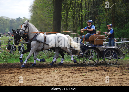 Championnat de courses de chariot à Horst Pays-Bas Banque D'Images