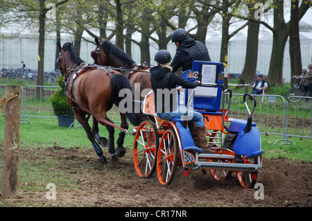 Championnat de courses de chariot à Horst Pays-Bas Banque D'Images