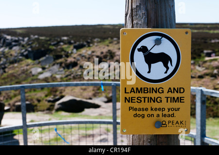 Inscrivez-vous sur sentier sur la lande demande aux gens de garder leurs chiens sur le plomb à l'agnelage et la nidification des oiseaux. Banque D'Images