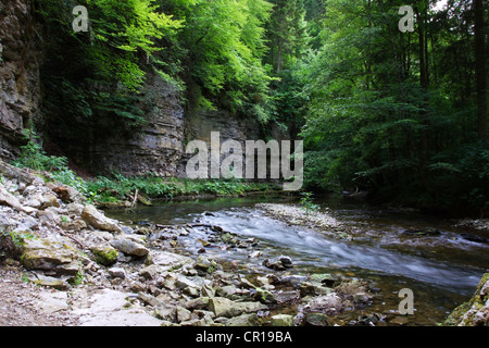 Mur de roche calcaire Muschelkalk, shellbearing le long de la rivière Wutach dans la Gorge de Wutach, réserve naturelle de la Forêt Noire Banque D'Images