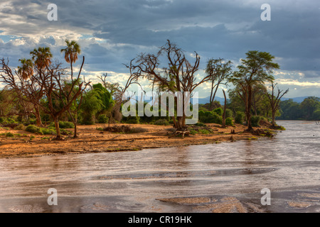 D'Ewaso Uaso Nyiro dans la réserve nationale de Samburu, Kenya, Afrique de l'Est, Afrique, PublicGround Banque D'Images