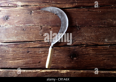 Old sickle hanging on a rustic wooden wall Banque D'Images