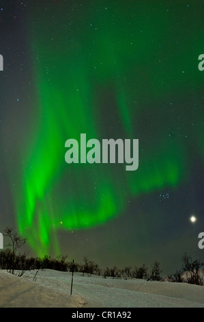Northern Lights la danse à travers le ciel à Tromso, Norvège Banque D'Images