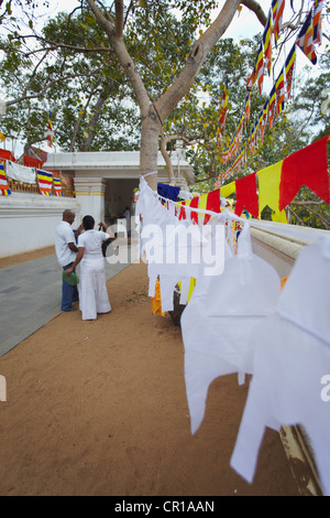 Les gens à Sri Maha Bodhi (arbre de bodhi sacré), Anuradhapura, (Site du patrimoine mondial de l'UNESCO), North Central Province, Sri Lanka Banque D'Images