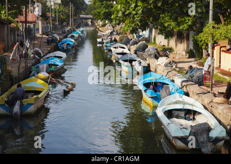 Les bateaux de pêche le long du Canal de Hamilton (Old Dutch canal), Negombo, Sri Lanka, Province de l'Ouest Banque D'Images