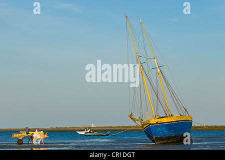 Madagascar, l'ancienne province de Toliara, Atsimo Andrefana, Région de la côte sud ouest, Toliara (Tuléar), le port Banque D'Images