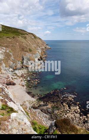 Falaises sur le côté est de la péninsule de Howth, près de Dublin, County Fingal, Leinster, Irlande, Europe Banque D'Images