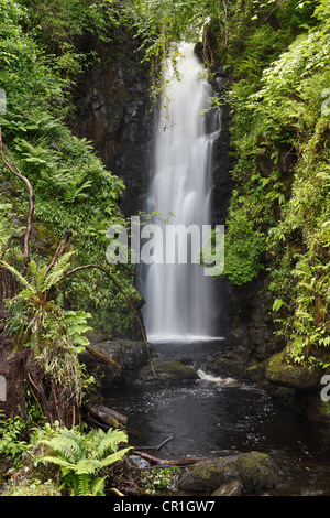 Cranny Falls près de Carnlough, comté d'Antrim, en Irlande du Nord, Grande-Bretagne, Europe, PublicGround Banque D'Images