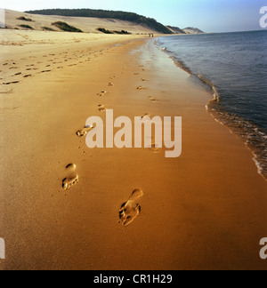 Footprints in sand on beach Banque D'Images