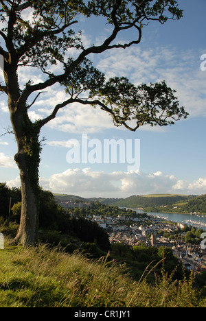 Vue sur Dartmouth Devon, UK Banque D'Images