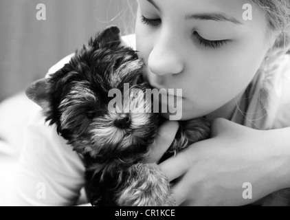La jeune fille embrasse le chiot du yorkshire terrier Banque D'Images