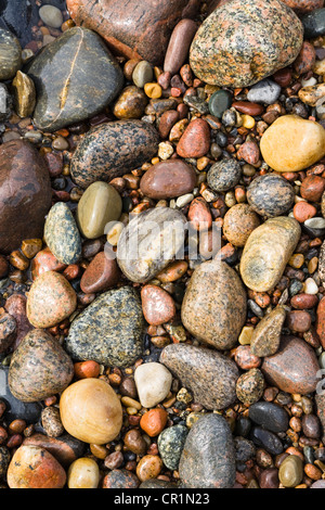 Pierres sur la plage de la mer Baltique, Bornholm, Danemark, Europe Banque D'Images