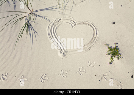 Le symbole de coeur dans le sable avec l'argenté tracé sur la plage, Bornholm, Danemark, Europe Banque D'Images