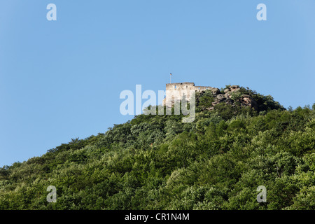 Ruines du château de Burgruine Aggstein, Wachau, Basse Autriche, Autriche, Europe Banque D'Images