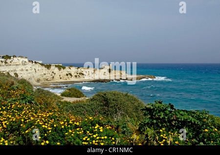 St Thomas Bay, Marsaskala, Malta, Europe Banque D'Images