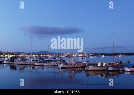 Alcudia, Majorque, Iles Baléares, Espagne, Europe Banque D'Images