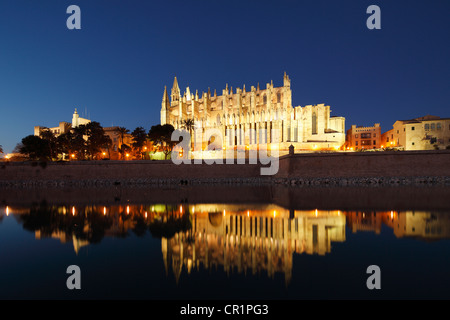 La Seu Cathedral, Parc de Mar, Palma de Majorque, Majorque, Îles Baléares, Espagne, Europe Banque D'Images