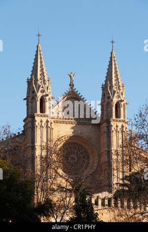 La Seu Cathedral, Palma de Majorque, Majorque, Îles Baléares, Espagne, Europe Banque D'Images