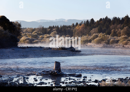 L'Isar avec bois flotté, dans le dos des Alpes, les plaines de l'Isar, Geretsried, Haute-Bavière, Bavaria, Germany, Europe Banque D'Images