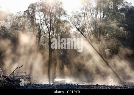 Morning Mist, fleuve Isar, plaines d'Isar, Geretsried, Haute-Bavière, Bavaria, Germany, Europe Banque D'Images