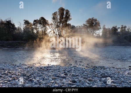 Morning Mist, fleuve Isar, plaines d'Isar, Geretsried, Haute-Bavière, Bavaria, Germany, Europe Banque D'Images