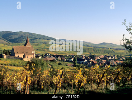 La France, Haut Rhin, la Route des Vins d'Alsace, Hunawihr, village labellisé en hiver Les Plus Beaux Villages de France (le plus Banque D'Images