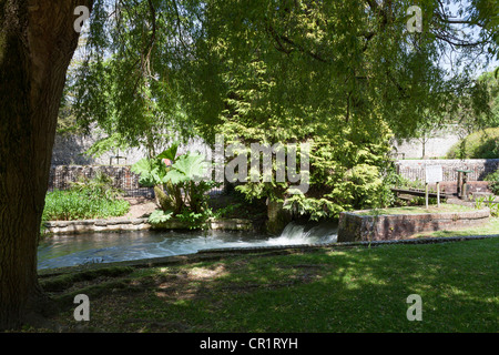 Le Weir sur la rivière Itchen à Winchester Banque D'Images