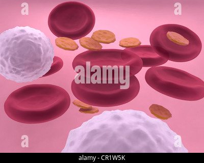 Visualisation 3d de cellules du sang aux érythrocytes, leucocytes et plaquettes Banque D'Images