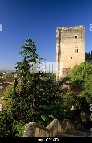 La France, Vaucluse, Avignon, panorama sur la ville depuis le jardin appelé jardin du rocher des Doms Banque D'Images