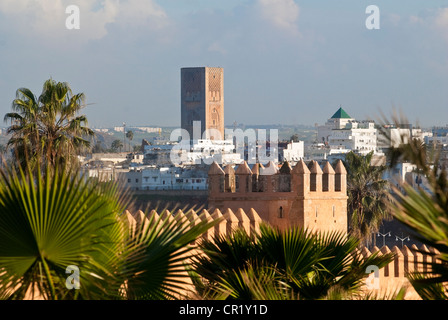 Maroc, Rabat, du patrimoine mondial de l'UNESCO, de hauts murs de la tour Hassan et Oudaia kasbha Banque D'Images