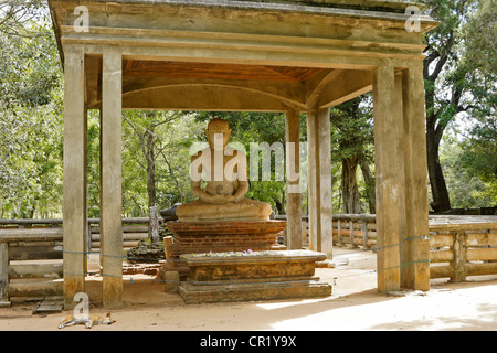 Samadhi Bouddha, Anuradhapura, Sri Lanka Banque D'Images