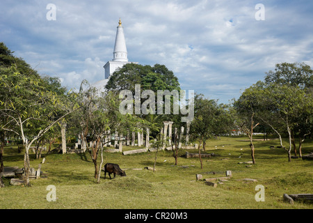 Dagoba Ruvanvelisaya et ruines à Anuradhapura, Sri Lanka Banque D'Images