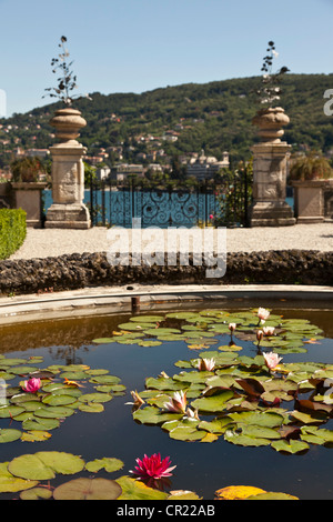 Lily pads à l'ornate fountain Banque D'Images