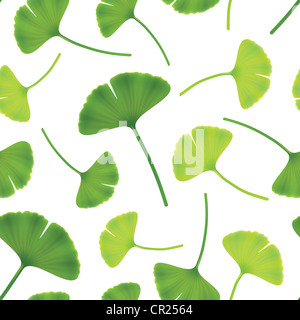 Feuilles de ginkgo bilboa. Seamless vector illustration. Banque D'Images