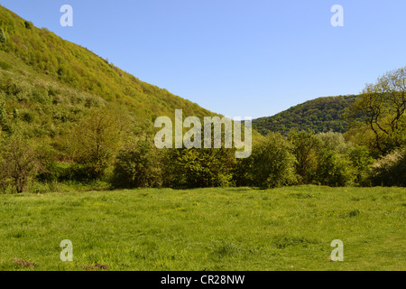 La colline haute et basse. Banque D'Images