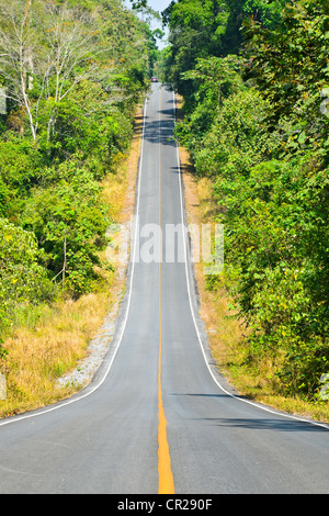 Route dans la vallée de Khao Yai, une forêt thaïlandaise, un site du patrimoine mondial. Banque D'Images