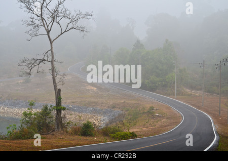 Route dans la vallée de Khao Yai, une forêt thaïlandaise, un site du patrimoine mondial. Banque D'Images