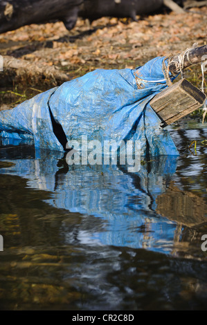 Une bâche en plastique bleu qui jonchent les berges du fleuve dans le lac Joe River Chatcolet, Idaho. Banque D'Images