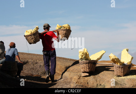 Les mineurs de soufre du Kawah Ijen à Java Est Banque D'Images