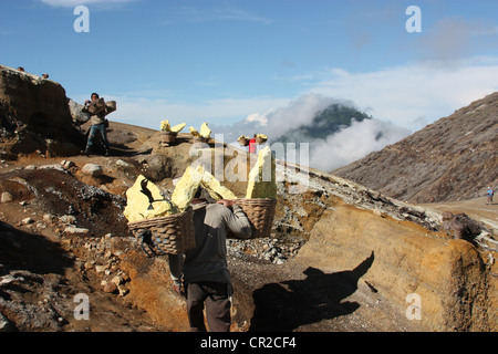 Les mineurs de soufre du Kawah Ijen à Java Est Banque D'Images